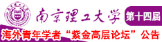 别抽插了，要被艹坏了南京理工大学第十四届海外青年学者紫金论坛诚邀海内外英才！